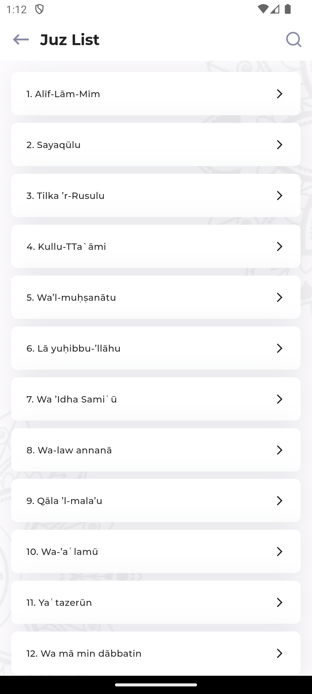 HafizPro Progress Tracking
