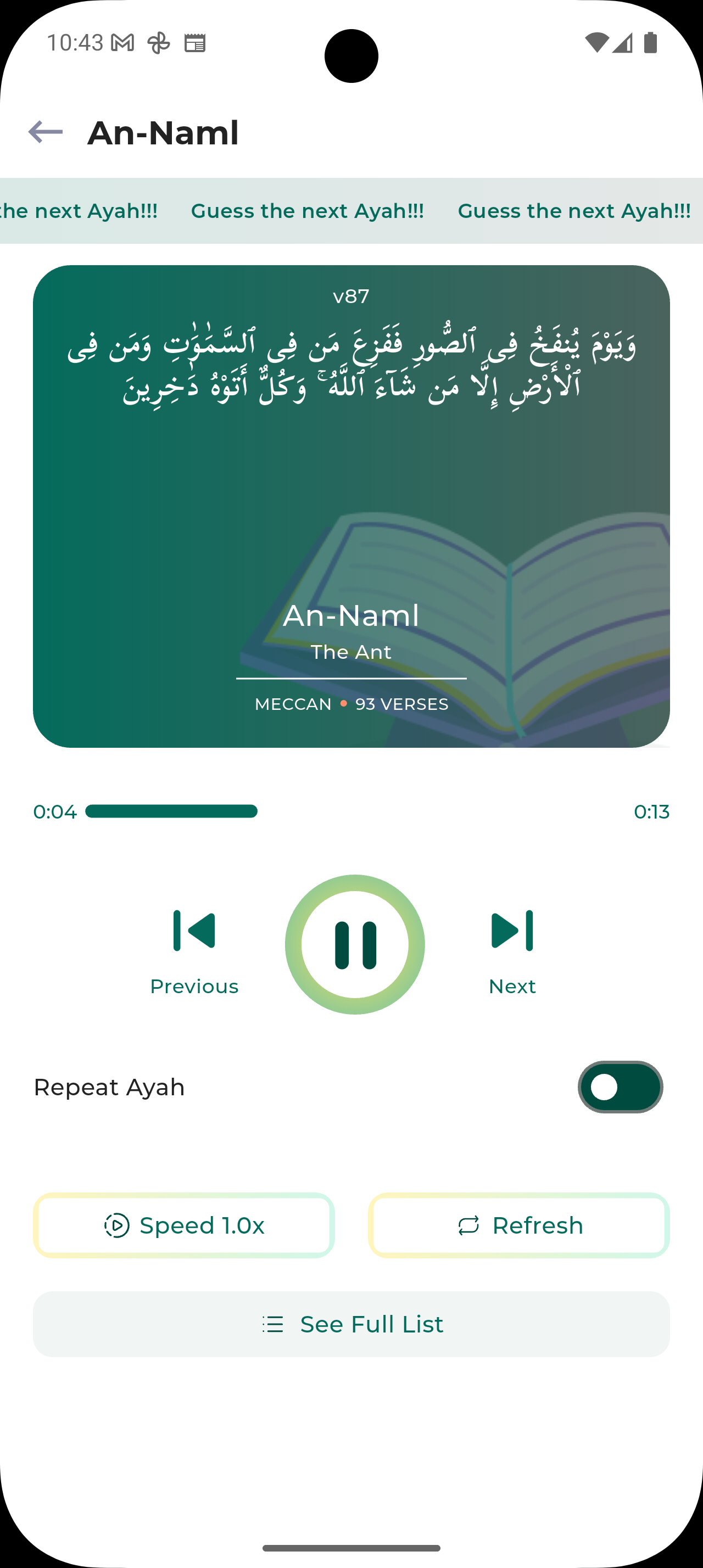 HafizPro App Screenshot