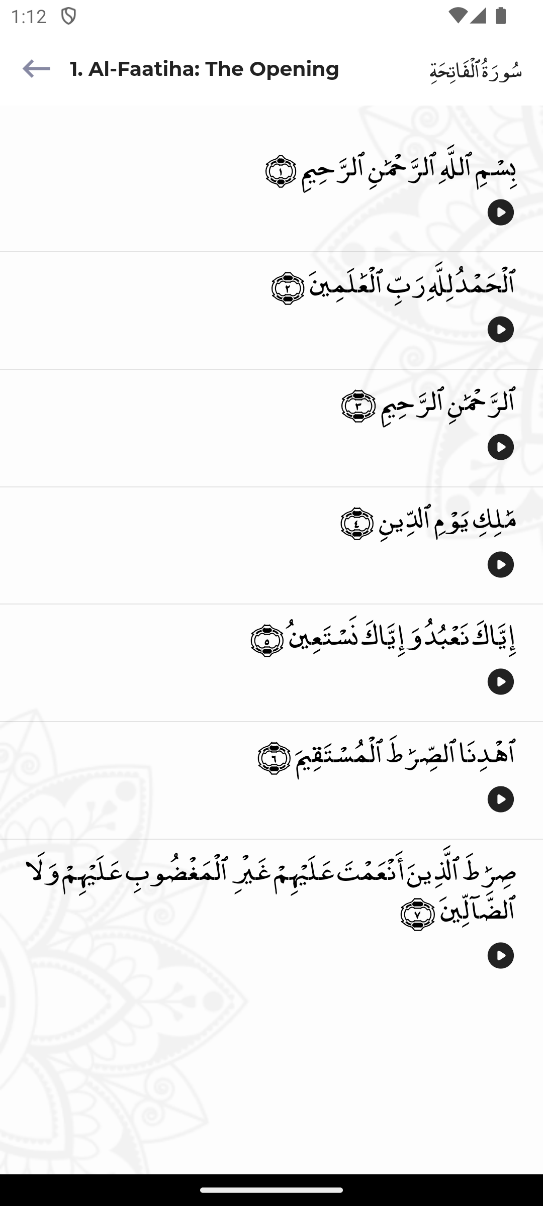 HafizPro Testing Interface