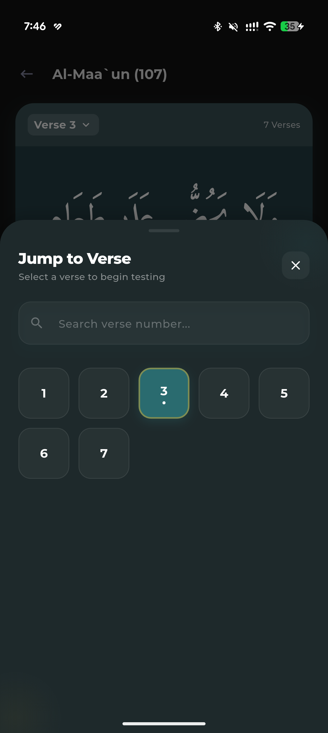 Hafiz Pro screenshot, dark appearance