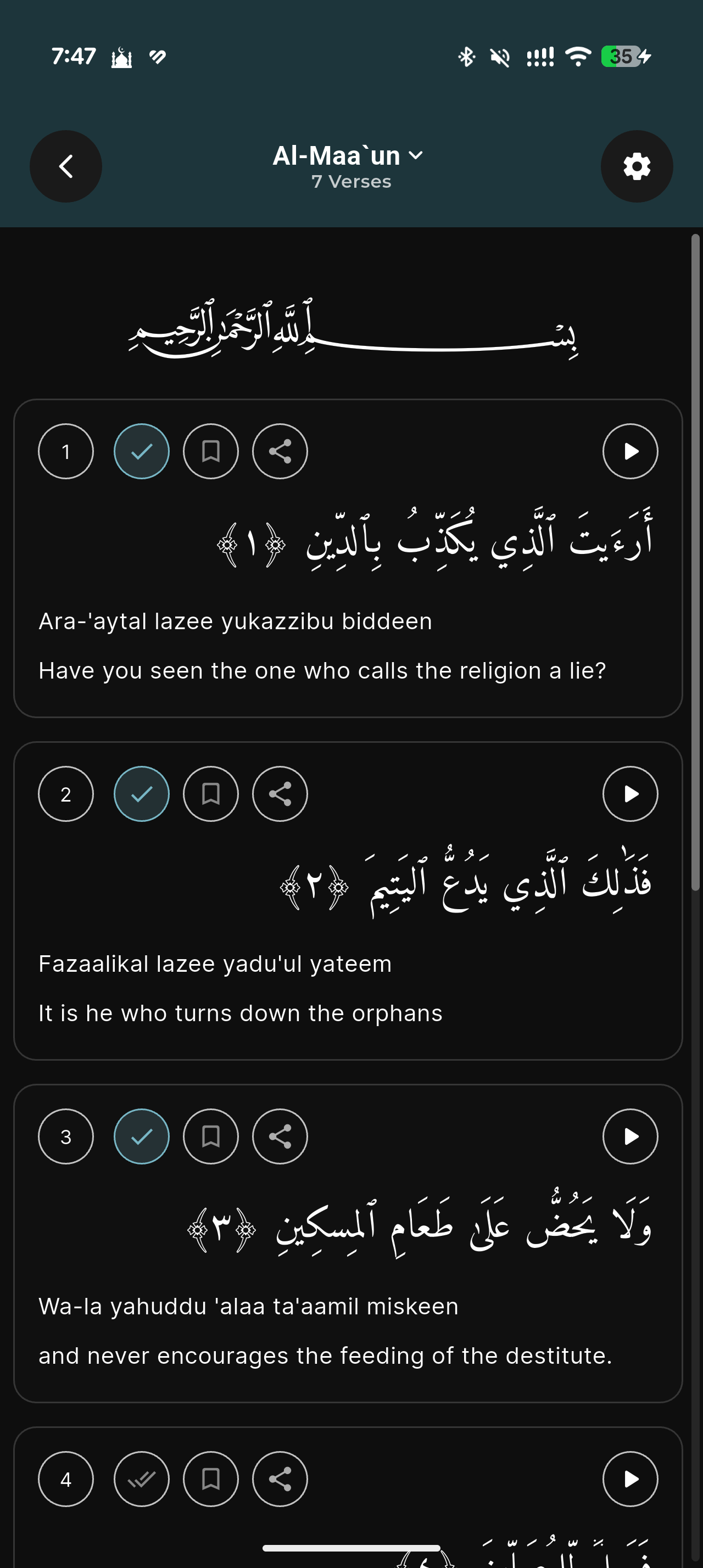 Hafiz Pro screenshot, dark appearance