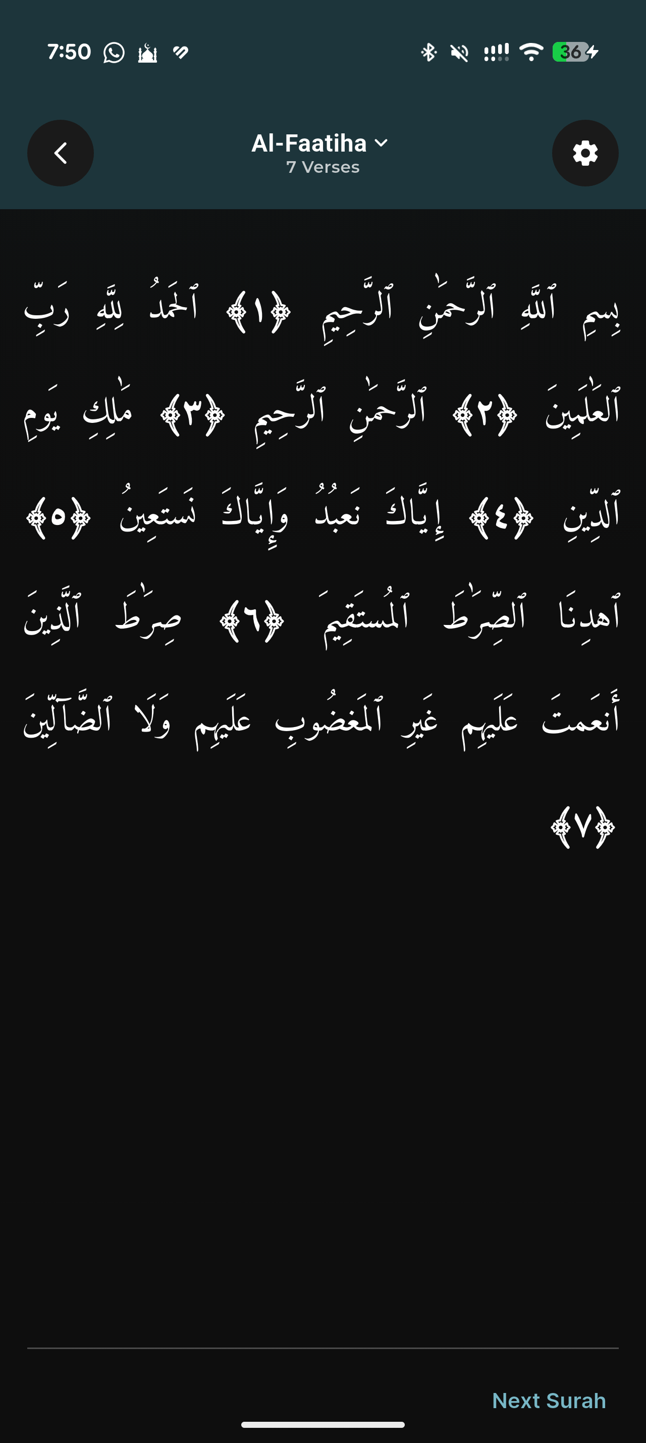 Hafiz Pro screenshot, dark appearance