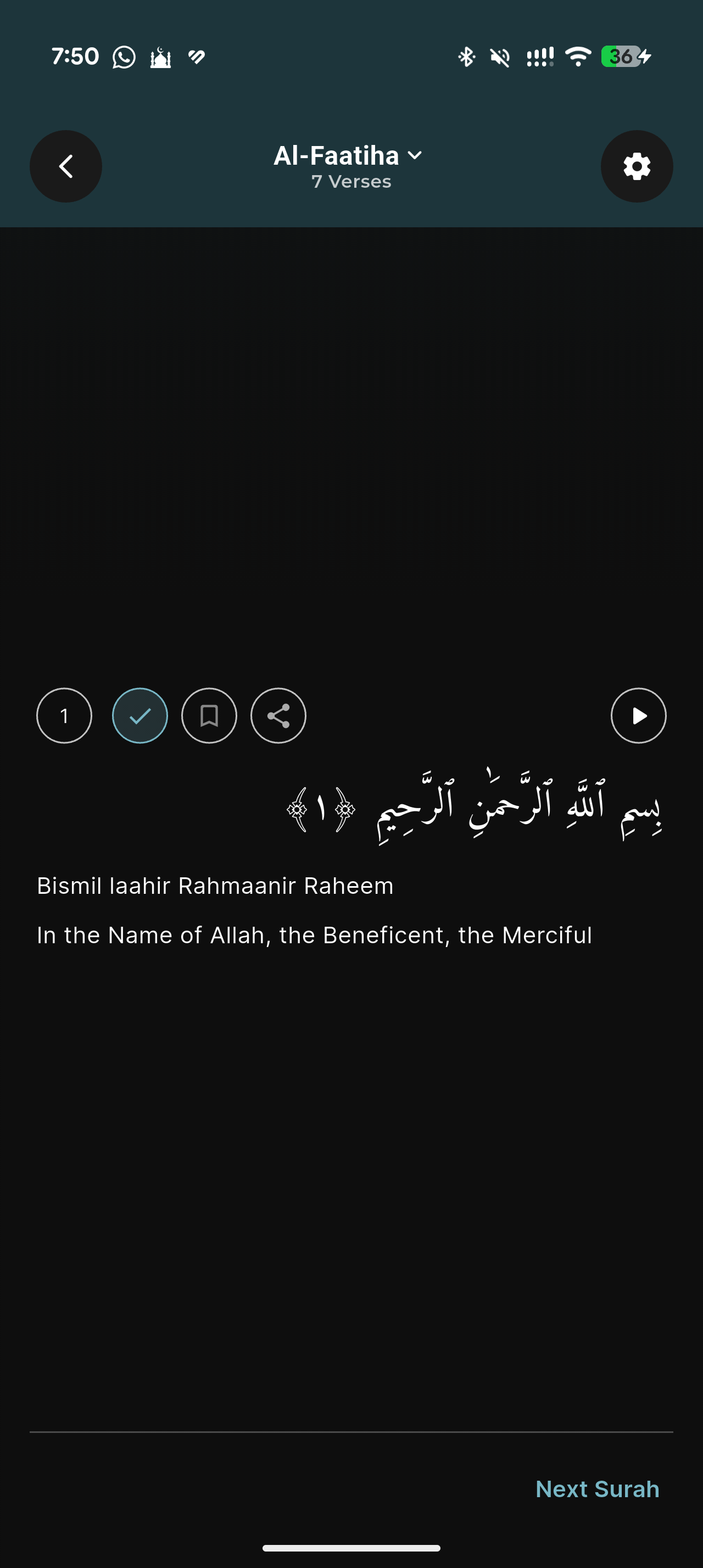 Hafiz Pro screenshot, dark appearance