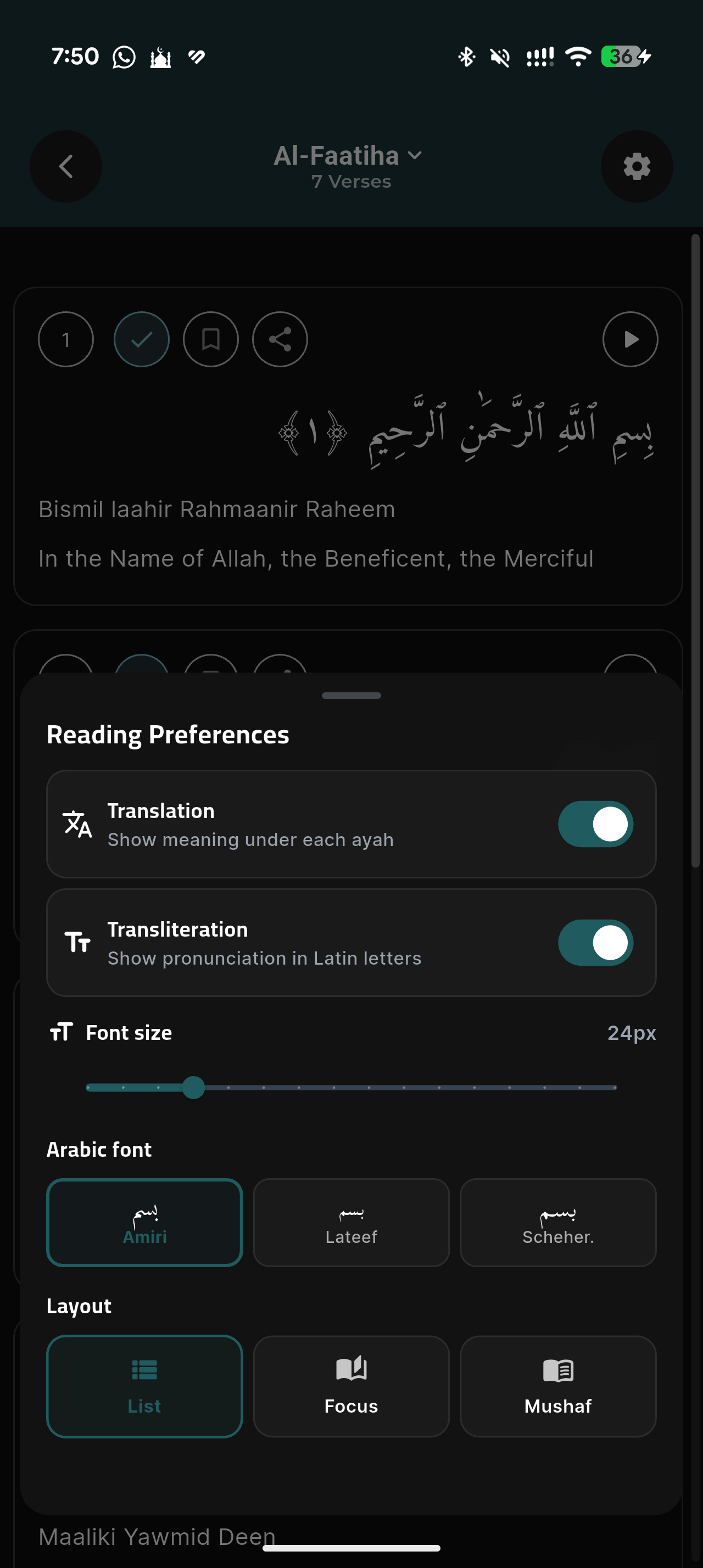 Hafiz Pro screenshot, dark appearance