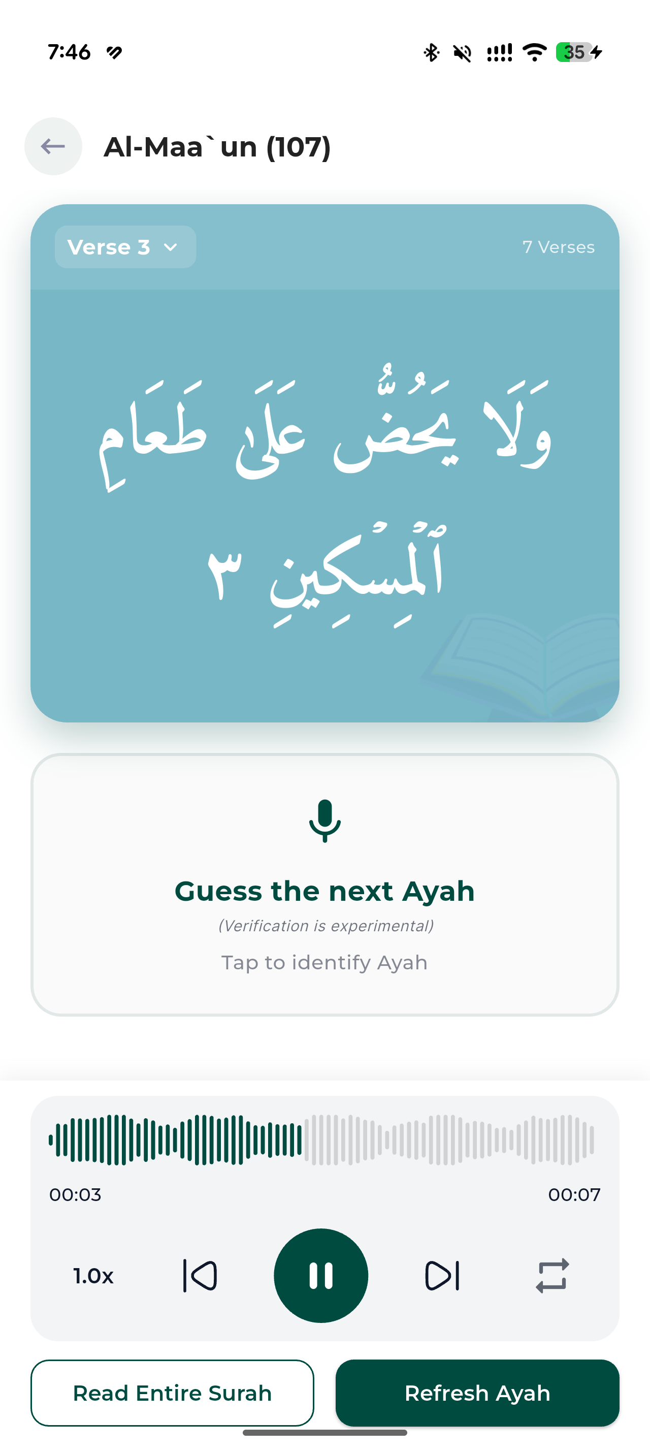 Hafiz Pro screenshot, light appearance