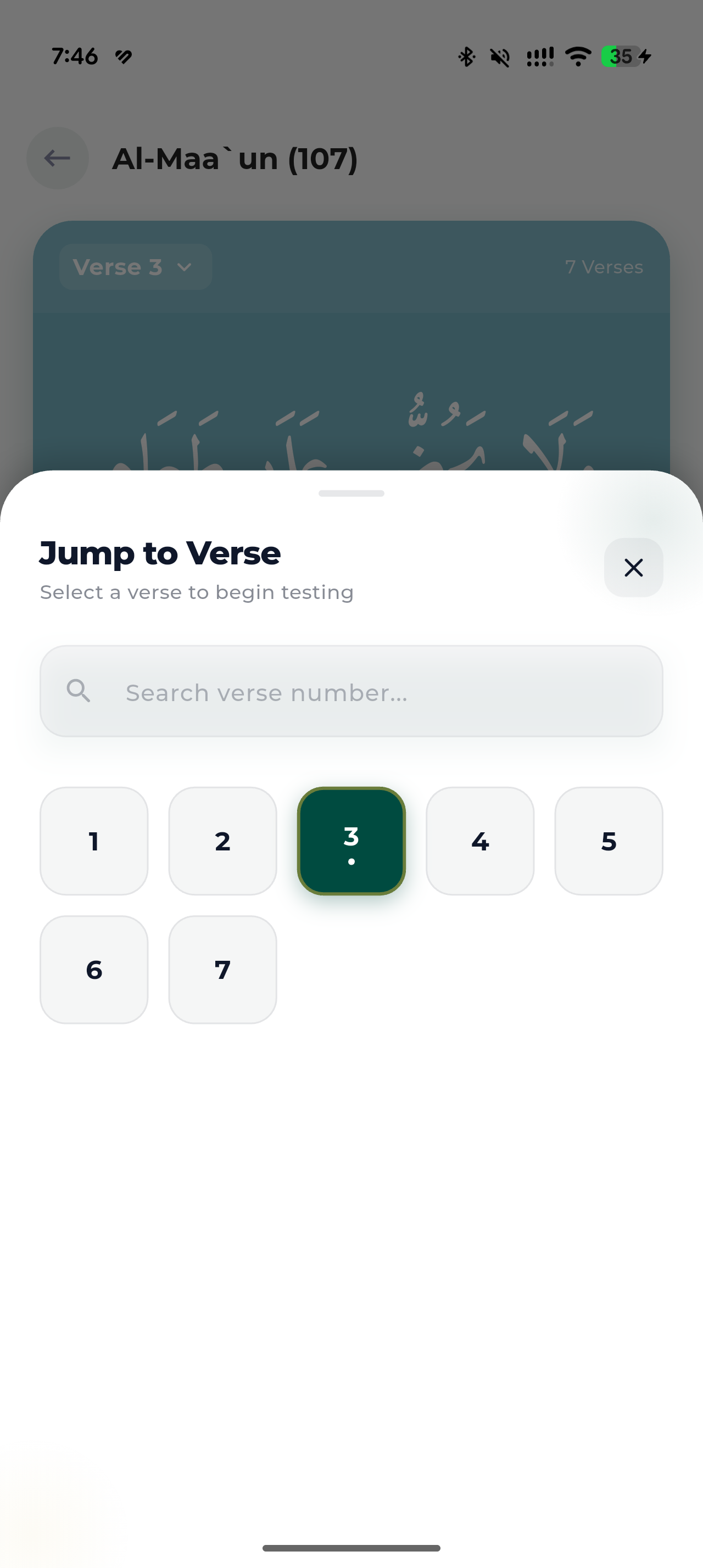 Hafiz Pro screenshot, light appearance