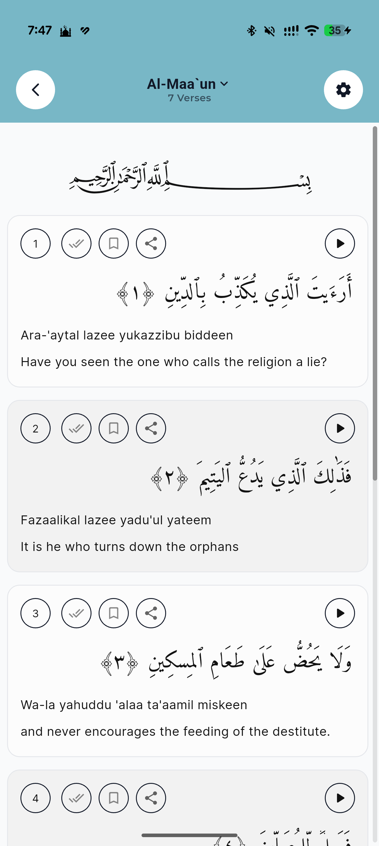Hafiz Pro screenshot, light appearance