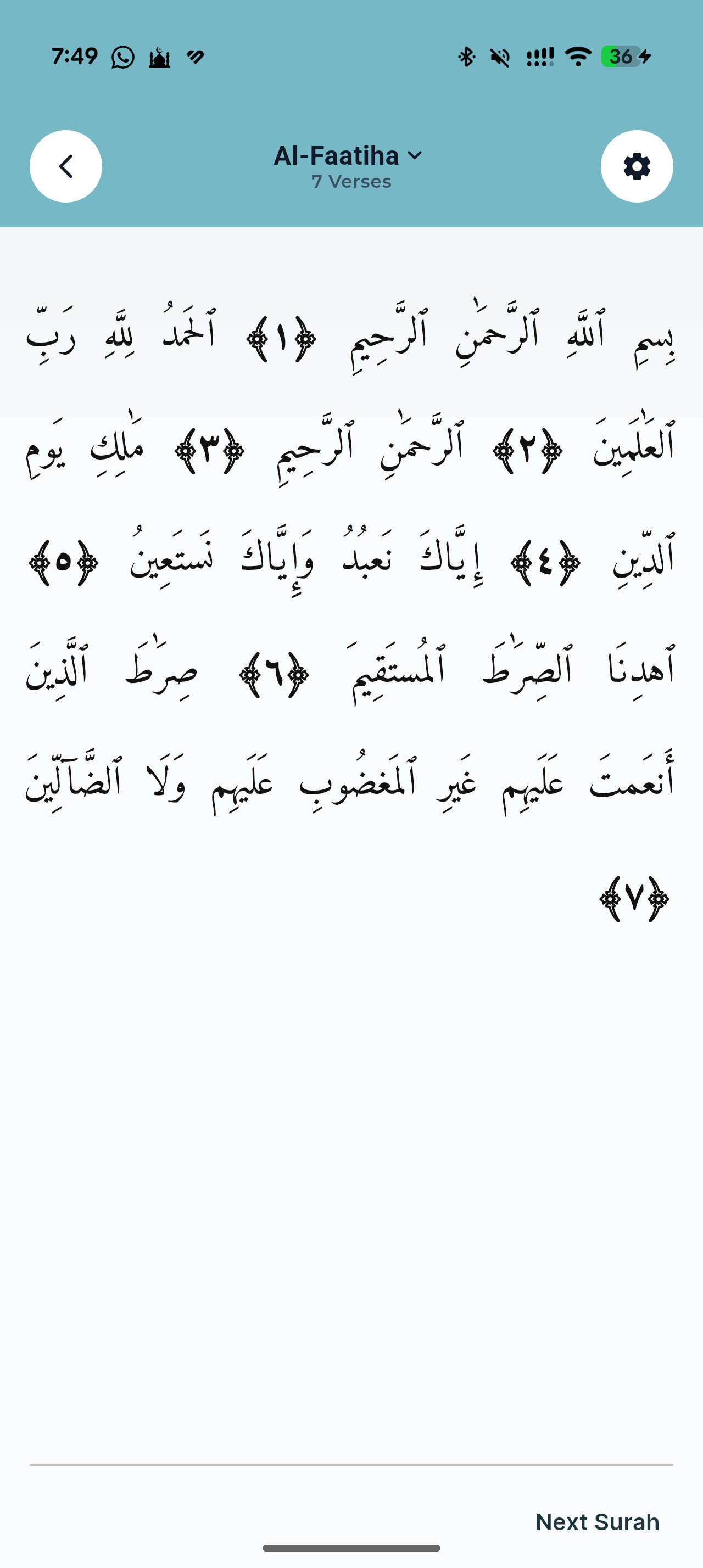 Hafiz Pro screenshot, light appearance